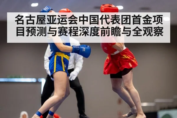 wushu martial arts performance
